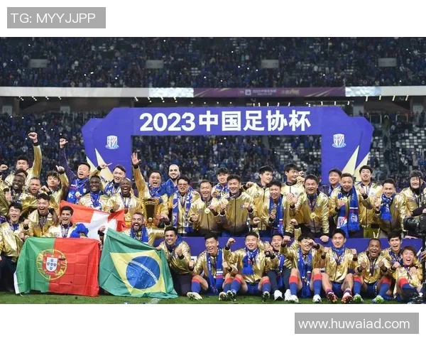 中国足协杯最新排名分析及各队表现评估与未来展望