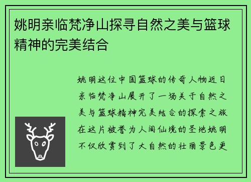 姚明亲临梵净山探寻自然之美与篮球精神的完美结合